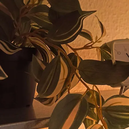 Sunset Lovers - Wifi - Netflix * Nancy