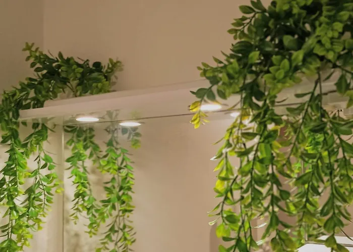 Sunset Lovers - Wifi - Netflix